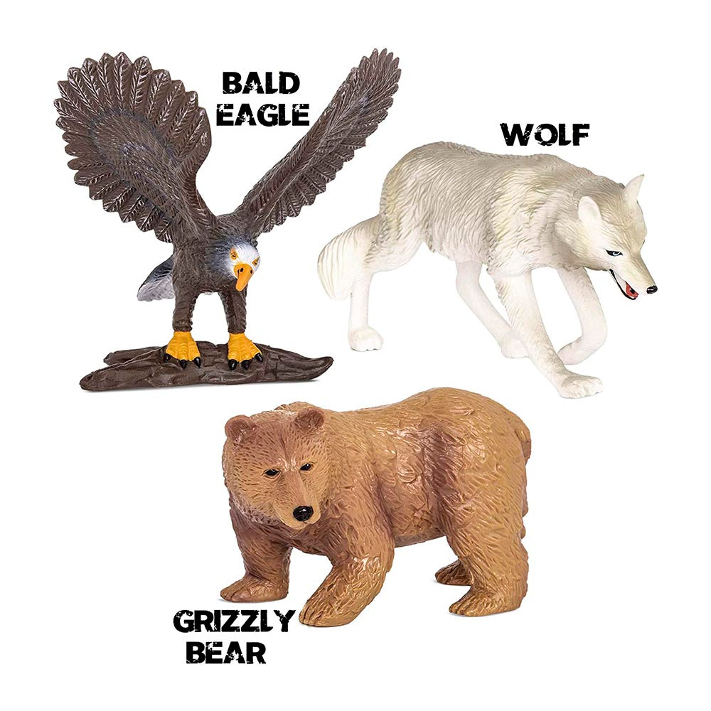 Animales del Bosque Lobo Aguila Oso