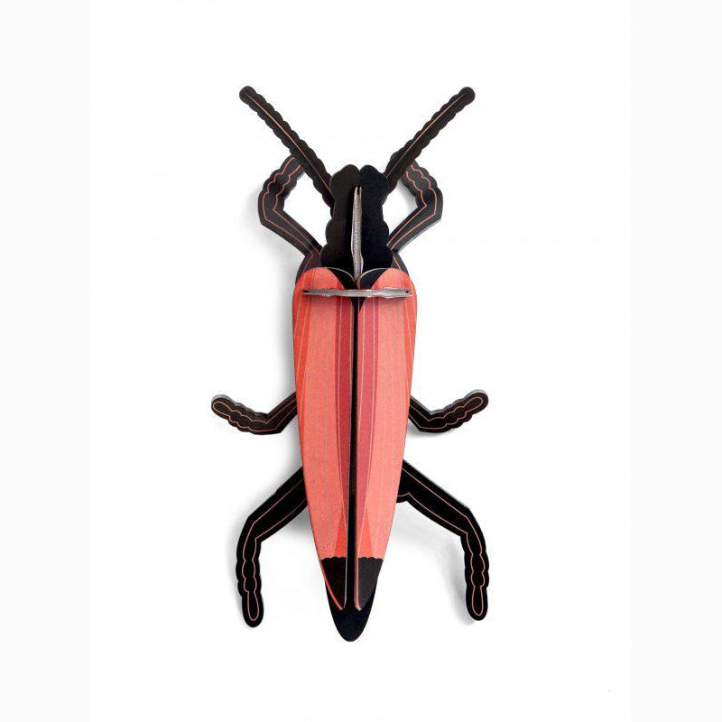 Pequeño Insecto Longhorn beetle