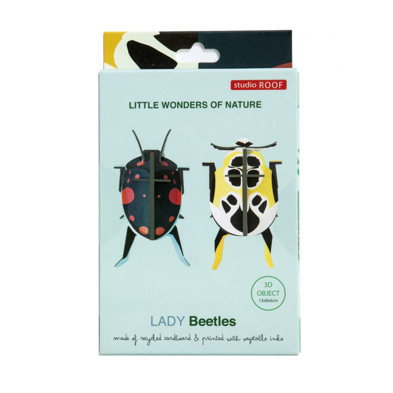 Pequeño Insecto Lady Beetles