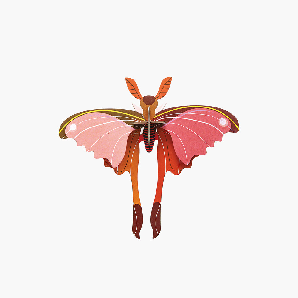 Pequeño Insecto - Pink Comet Butterfly