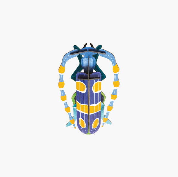 Pequeño Insecto - Rosalia Beetle
